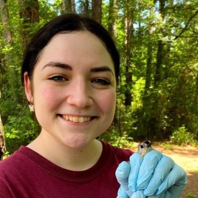 MS, current PHEFA fellow; former student @tamu; interested in emergence and eco-epidemiology of arboviruses 🦇🦟 🦠 she/her