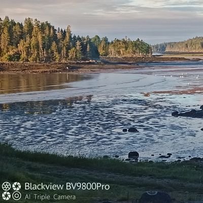 DellaJCollins's profile picture. 