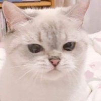 ฉันชื่อพลอย (@mynameis_ploy) 's Twitter Profile