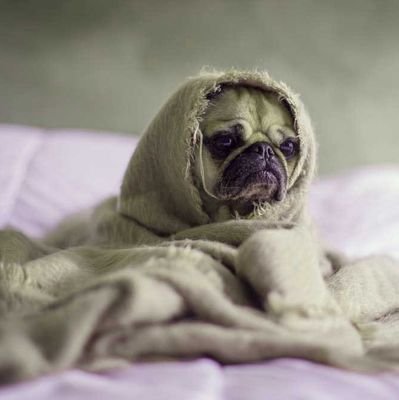 souravG63801952's profile picture. 