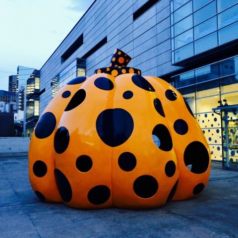 ma960's profile picture. 