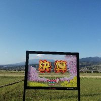 干し芋🍠のロニー (@ibbnocd6wrhfruf) 's Twitter Profile