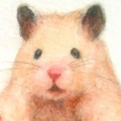 そふぃさんのプロフィール画像