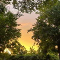 エリザベス (@rfj7urohupncbhw) 's Twitter Profile Photo