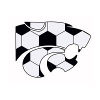 CHS Girls Soccer (@wcschsgsoccer) 's Twitter Profile