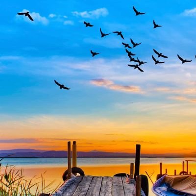 Frans43114277's profile picture. 