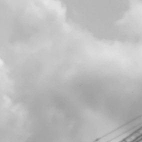 txxL23's profile picture. 