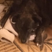 maya (@floatingmsmaya) 's Twitter Profile Photo maya (@floatingmsmaya) 's Twitter Profile Photo