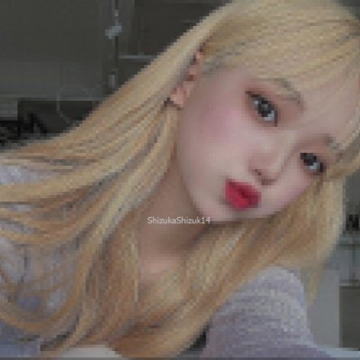 ShizukaShizuk14's profile picture. 