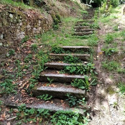 Cuatrollll's profile picture. 