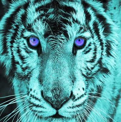 PK_youngtwink's profile picture. 💕😏💕