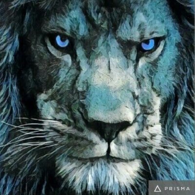 LionshareThe's profile picture. Best Discord Trading Group.  AdvancedBotAlerts.  Free 7 day trial below.
https://t.co/xSXEN8WGtx