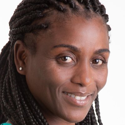 Assistante juridique, conseillère en communication, directrice de projet, adjointe au maire, conseillère métropolitaine Aix-Marseille-Provence