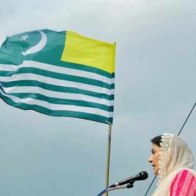 لگتا ہے محفل میں اترنا پڑے گا دوبارہ
کیوں کہ کچھ لوگ بھول گئے معیار ہمارا
@PMLN