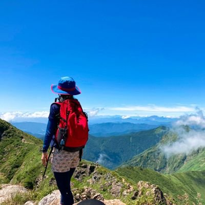 TOMOKO15016886's profile picture. 