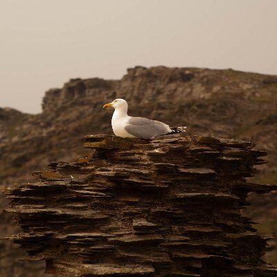 I live in the South West and love the sea, countryside, good food and real ale