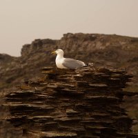 James Pollard (@hlj0malind) 's Twitter Profile