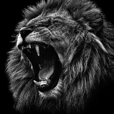 svj_cs's profile picture. 🇨🇦 Whatever it takes