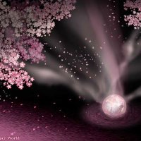 黒衣:夜桜 (@yozakura1106) 's Twitter Profile