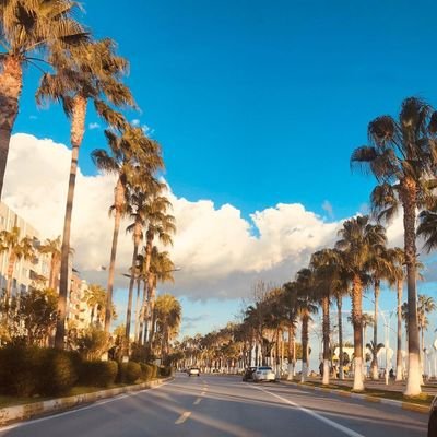 mersingetto33's profile picture. 