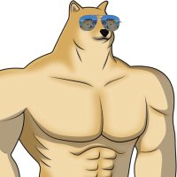 dogeman🚀🍥 (@dogenation_) 's Twitter Profile