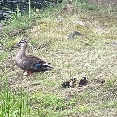 神奈川県在住のアラフィフ。 成人している4人の子ども達の幸せが私の幸せ❤️ ラジオが日々の情報源♬♪♫ 無言フォロー失礼いたします🙇‍♀️