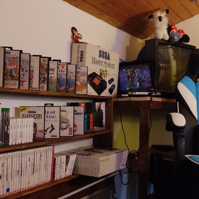 Bonjour les gens! Je me présente, Geekette64 fan de jeux rétros depuis mon enfance et je voudrais partager ma passion avec vous!