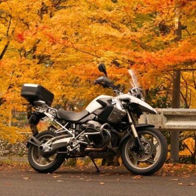 たまにしかバイクに乗れまへん🥺
Twitterで愚痴吐いて供養してます。よって愚痴多め。