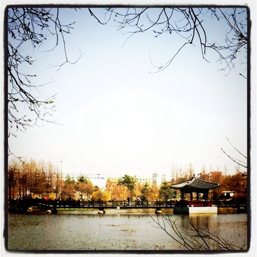 4wq's profile picture. 자전거홀릭♡ / 강아지 / 만화책 / 혼자 어디갈땐 항상 귀에 이어폰이.. / 디아블로3, 마인트앤매직 히어로즈 6 애타게 기다림