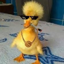 Não tente ser melhor do que o outro apenas seja oque você é