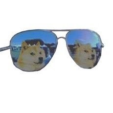 Cartorit's profile picture. 🚀