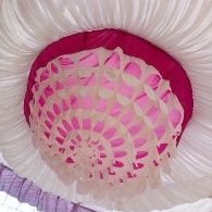 Talibah13237562's profile picture. Talibahmad