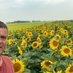 maryn vermeer (@dairyguy65) Twitter profile photo maryn vermeer (@dairyguy65) Twitter profile photo