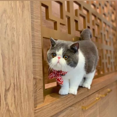 xwkxyR6zvopPKDe's profile picture. 