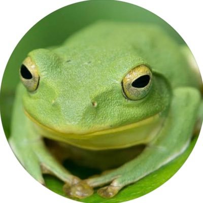 アマちゃんさんのプロフィール画像