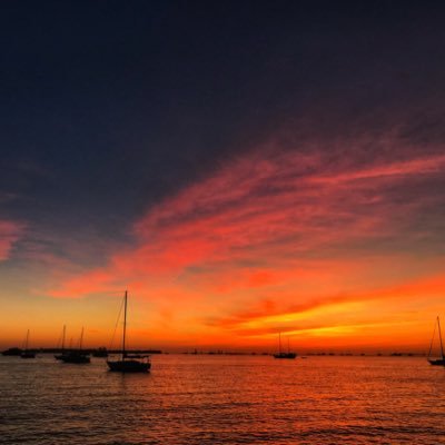 SeattleLyfe82's profile picture. 