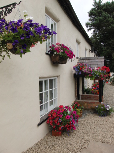 TheGreenBB1's profile picture. 17th Century Cottage in a quiet corner of Shropshire, rolling hills and meandering rivers. 
Nous parlons Francais. Noi parliamo Italiano.