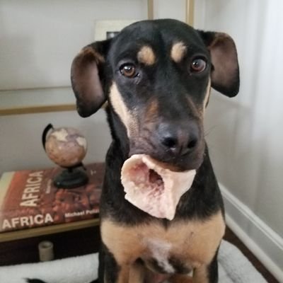 jwillionaire's profile picture. 