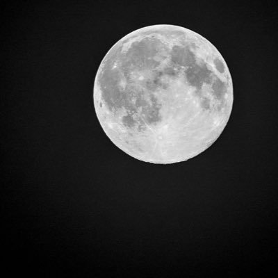 OEfOUwqHVCsReR's profile picture. 