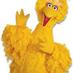 Joanne Robinson (@tallgingerbird) Twitter profile photo Joanne Robinson (@tallgingerbird) Twitter profile photo