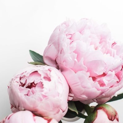 chanyanuchchat's profile picture. Live Life to the FULLEST