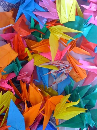 naishengmei's profile picture. 