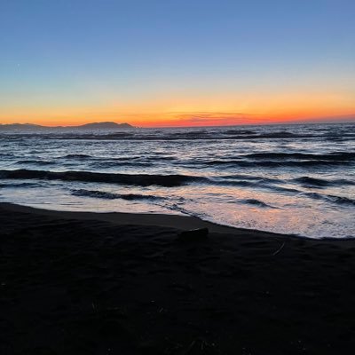 aip_c1's profile picture. 