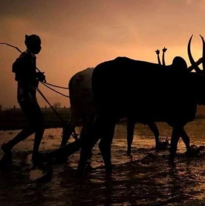 snniranjan's profile picture. 