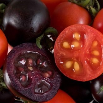 We develop fresh and nutritious purple tomatoes with genuine consumer benefits