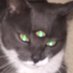sou_er (@sr_sourtooth) Twitter profile photo sou_er (@sr_sourtooth) Twitter profile photo