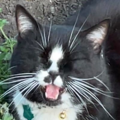 NugsFan88's profile picture. It’s all over isn’t it