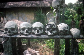 exkiap's profile picture. 