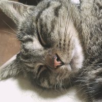 ときそら (@tksr0000) 's Twitter Profile Photo