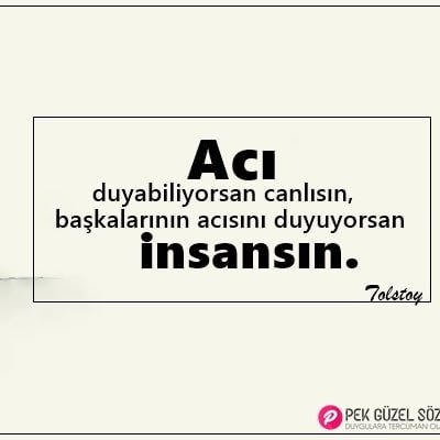 Kötülüklerin ilki ve en büyüğü, haksızlıkların cezasız kalmasıdır. ...

Ayıyı herkes tanır, ama ayı kimseyi.

Pireden krala kadar hepsini köylü doyurur.